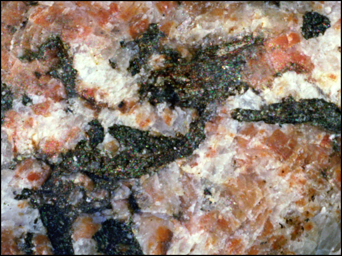 The Dragons of Eatin'